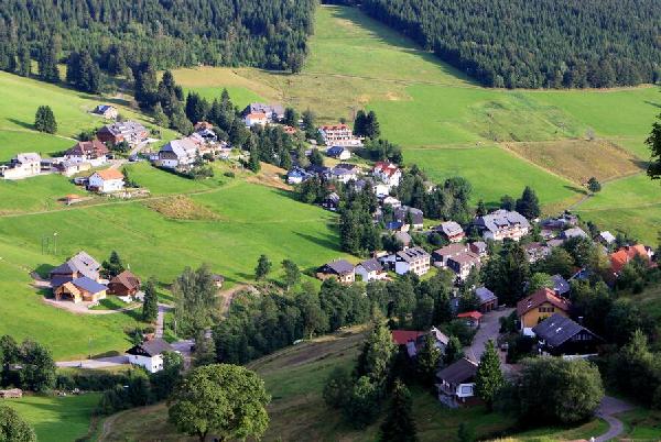 慕尼黑徒步游B线：穿越拉姆绍魔法森林的自然步道（5.7km）