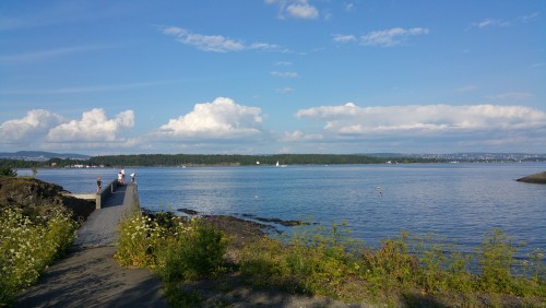 Pink Line: Danmark+Norway+Sweden travel pictures 