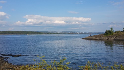 Pink Line: Danmark+Norway+Sweden travel pictures 