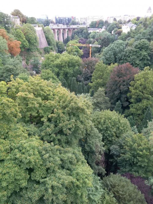Purple Line: France+Germany+Luxembourg+Netherlands+Belgium travel pictures 