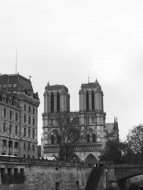 Purple Line: France+Germany+Luxembourg+Netherlands+Belgium travel pictures 