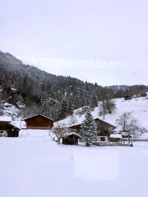 4 Day Switzerland  travel pictures 