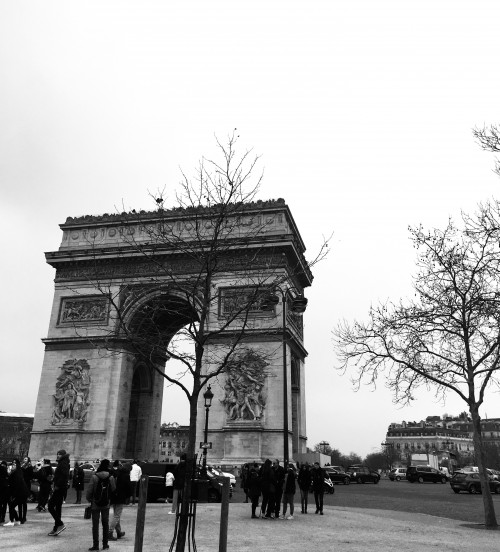 Purple Line: France+Germany+Luxembourg+Netherlands+Belgium travel pictures 