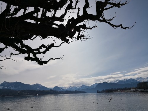 4 Day Switzerland  travel pictures 