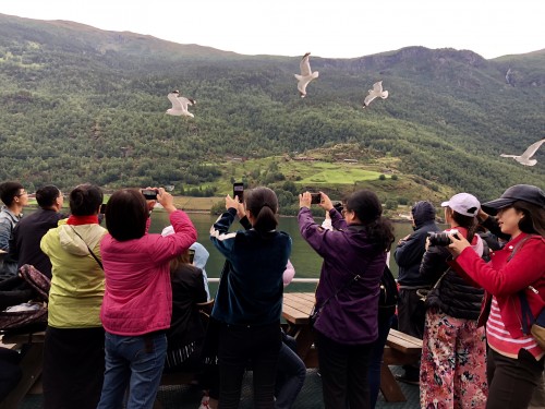 Pink Line: Danmark+Norway+Sweden travel pictures 