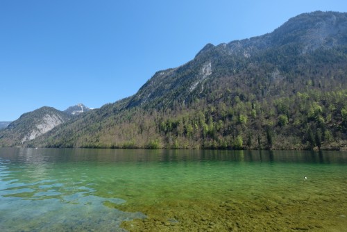 Munich Day Tour Line B: Königssee + Enchanted Forest travel pictures 