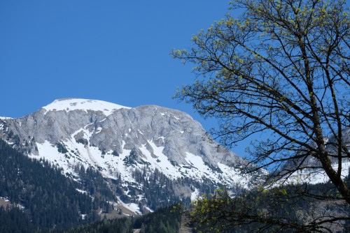 Munich Day Tour Line B: Königssee + Enchanted Forest travel pictures 