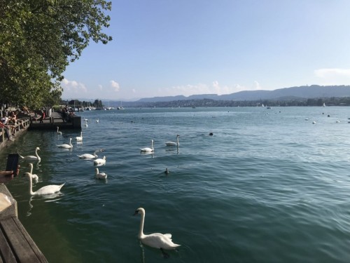 4 Day Switzerland  travel pictures 