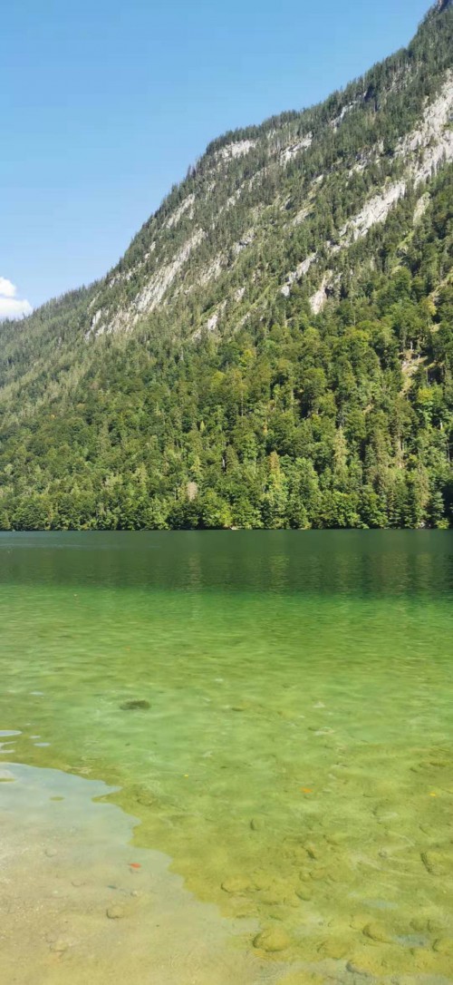 Munich Day Tour Line B: Königssee + Enchanted Forest travel pictures 