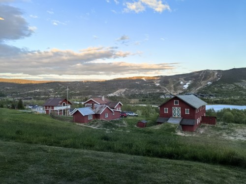 Pink Line: Danmark+Norway+Sweden travel pictures 