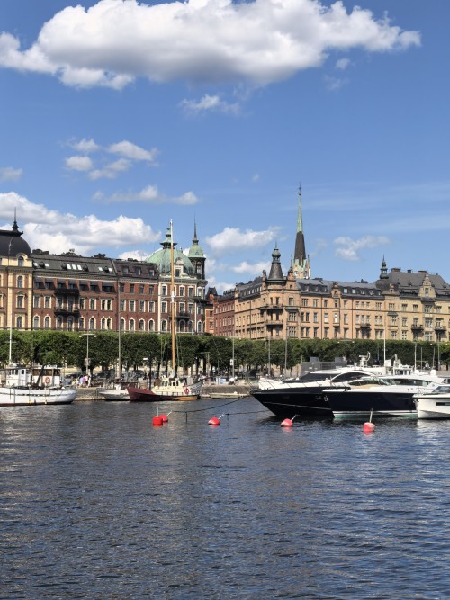 Pink Line: Danmark+Norway+Sweden travel pictures 
