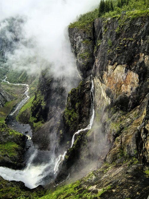 Pink Line: Danmark+Norway+Sweden travel pictures 