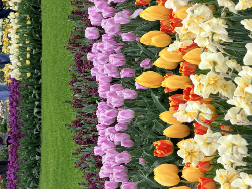 5 Day Western Europe travel pictures 