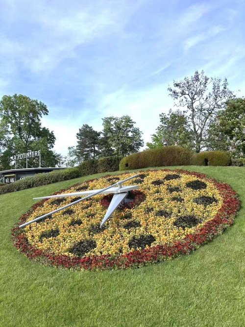4 Day Tour in French and Switzerland, GoldenPass Included travel pictures 